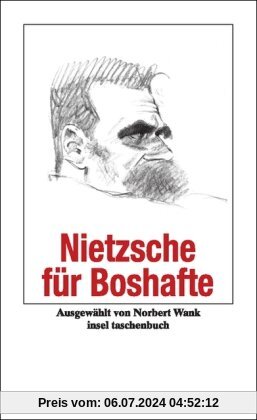 Nietzsche für Boshafte (insel taschenbuch)